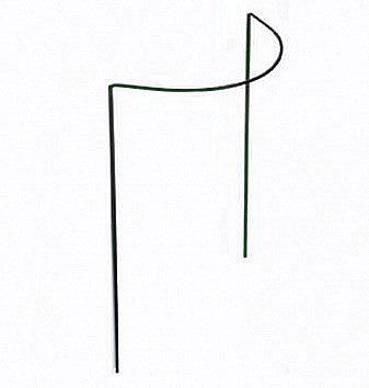 Plantensteunen Halfronde Tweepoot 100 cm.