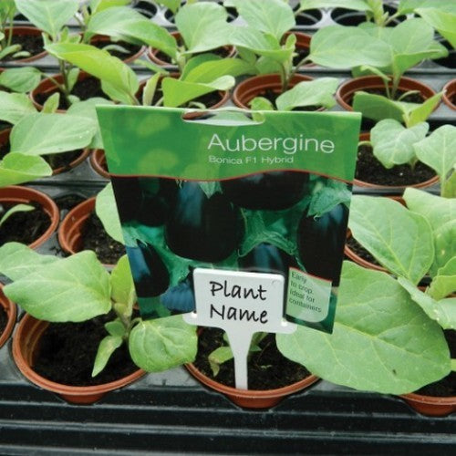 Plaatetiketten Klem + Plaat Wit (W0854)