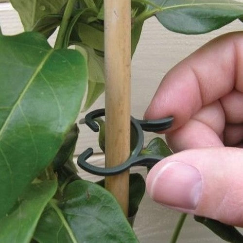 Opbindmaterialen Plantenclips Groen 25st. 16mm