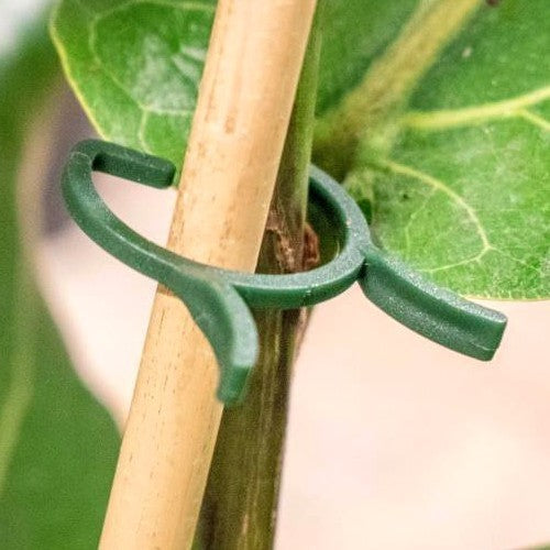 Opbindmaterialen Plantenclips Groen 25st. 16mm