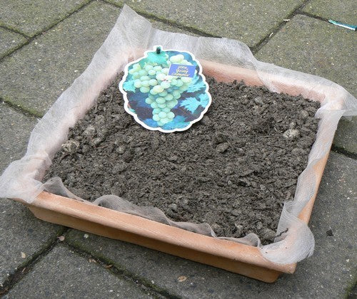 Druivenmest Home Made