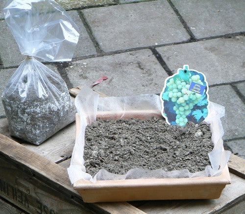 Druivenmest Home Made