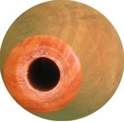 Vogelroepertje Cirlgors