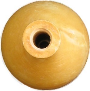 Vogelroepertje Zanglijster