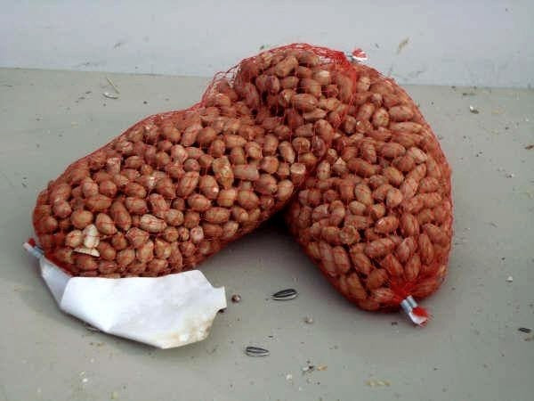 Buitenvogelvoer Pindanetjes