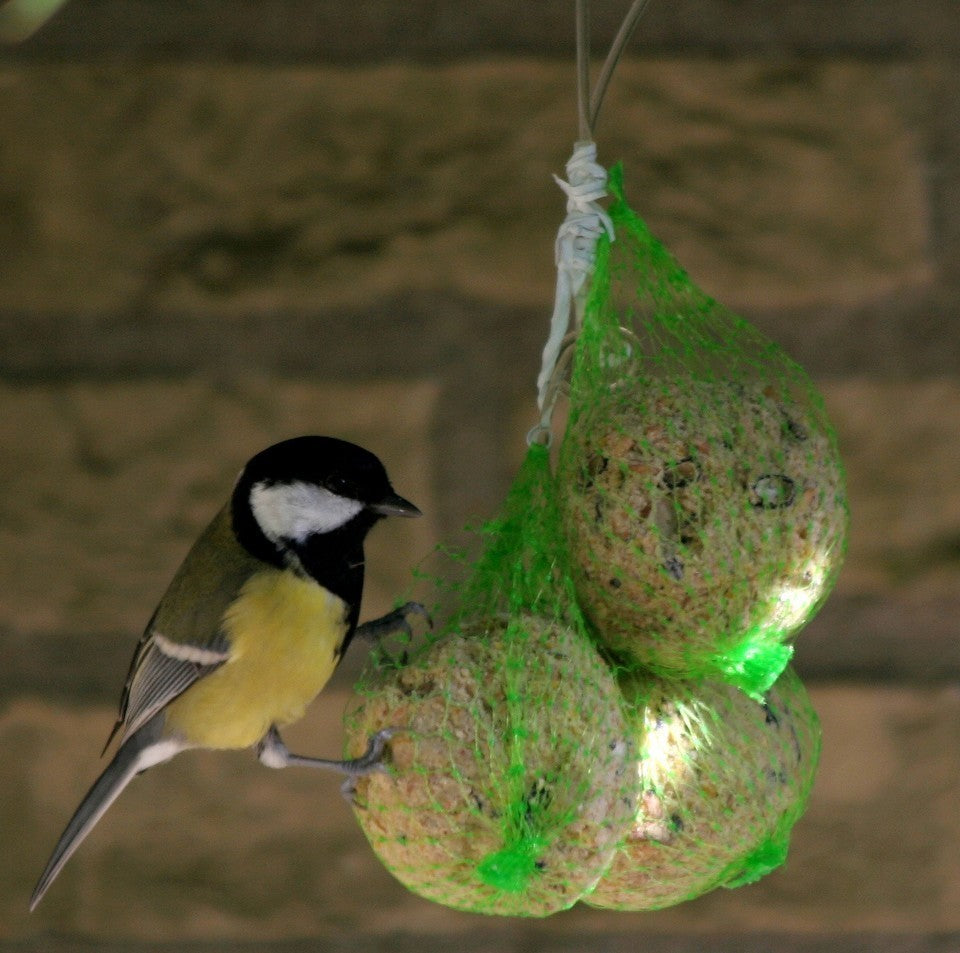 Outdoor Bird Food 6 Fat Balls