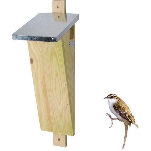 Nestkast Boomkruiper