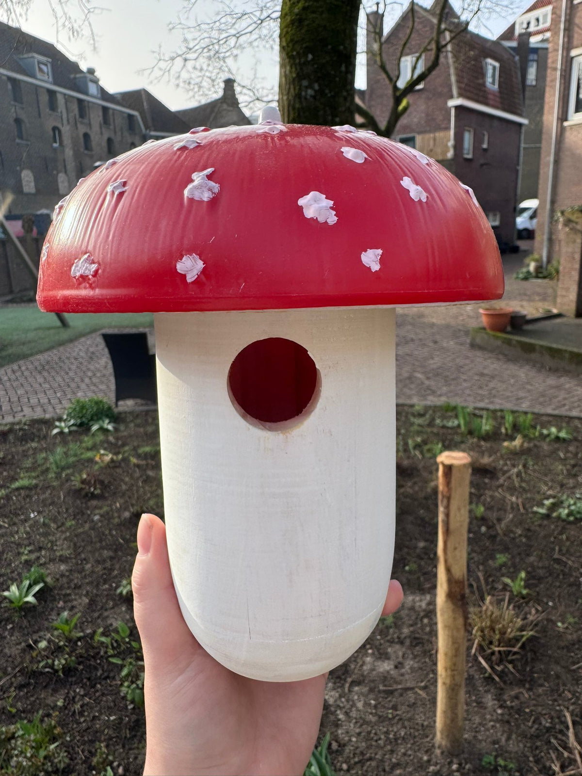 Nestkast Vliegenzwam