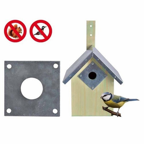Nest Box Protector Plate Blue Tit