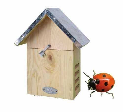 Insectennest Lieveheersbeestkastje