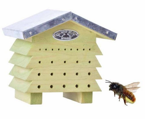 Insectennest Bijenhuis Hout
