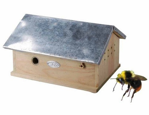 Insectennest Hommelhuis