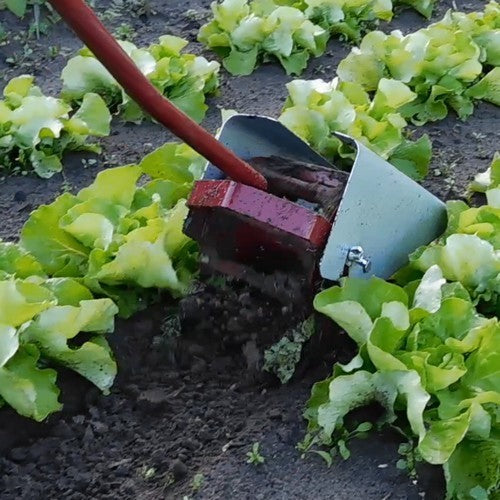 Loofkappen voor Rolschoffels