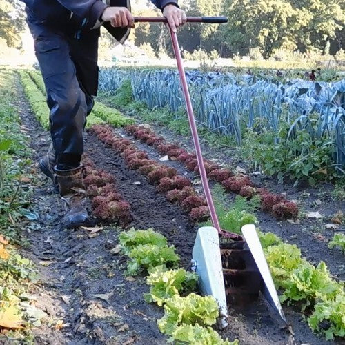 Loofkappen voor Rolschoffels