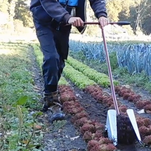 Loofkappen voor Rolschoffels