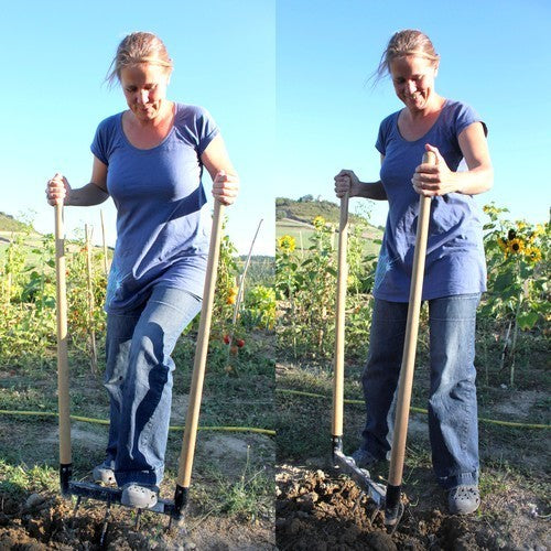 Digging Fork 5 Tine