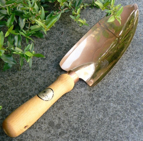Plantschopje 'Castor'
