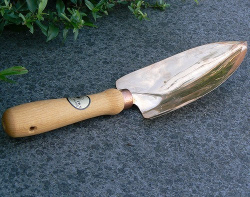 Plantschopje 'Castor'