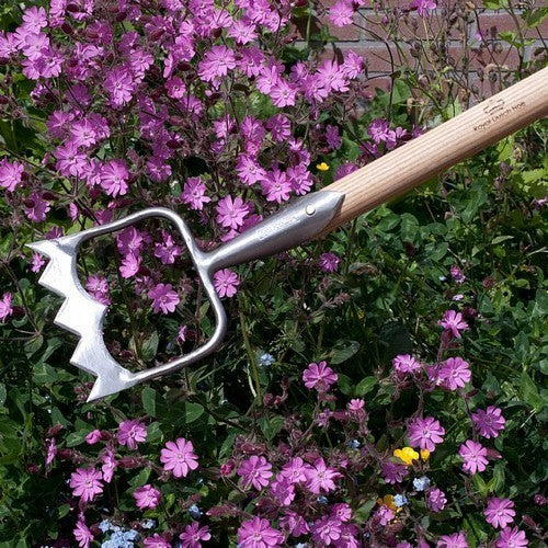 Royal Dutch HOE