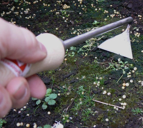 Mini Planing Stop 55 MM