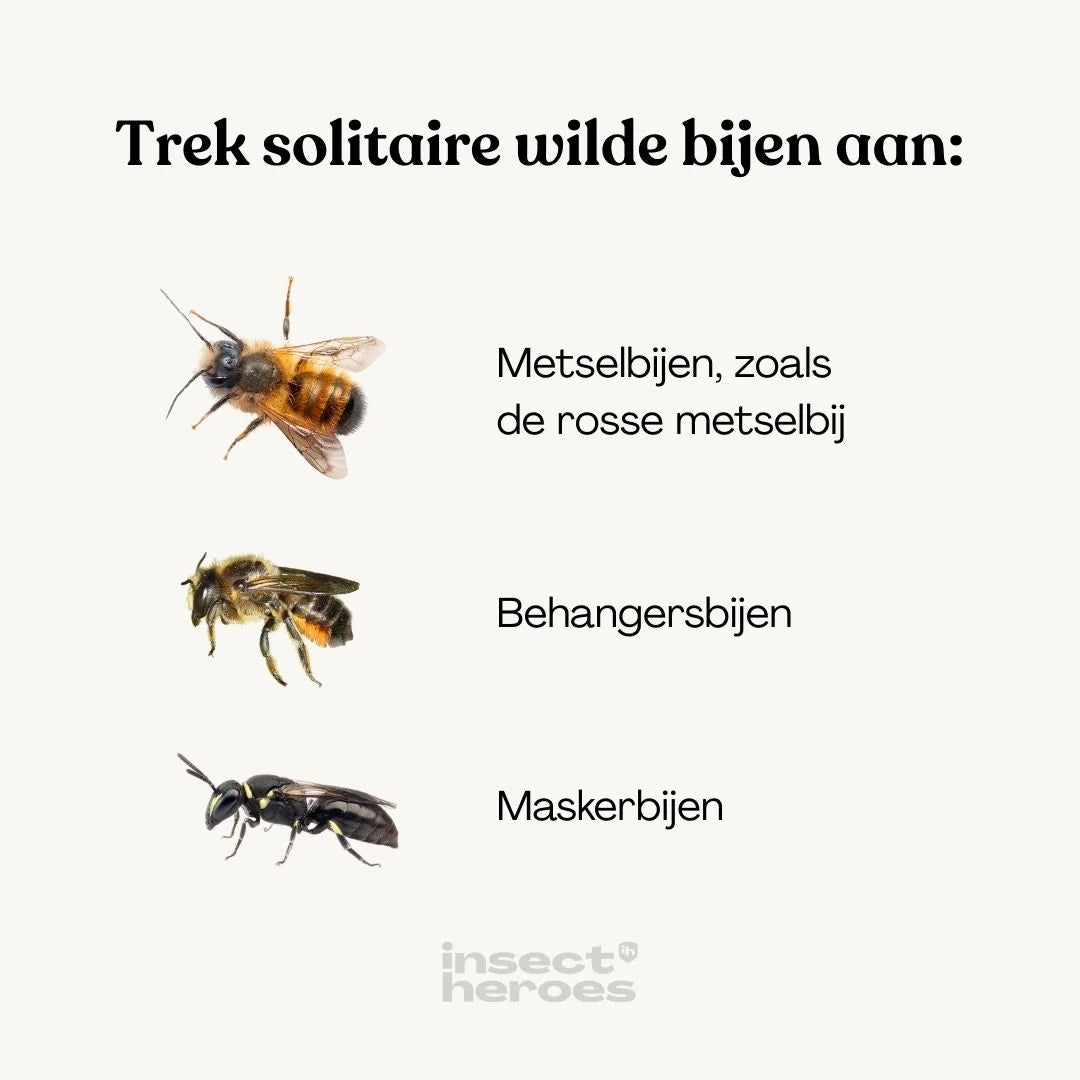 Bijenhotel Wooden Bee