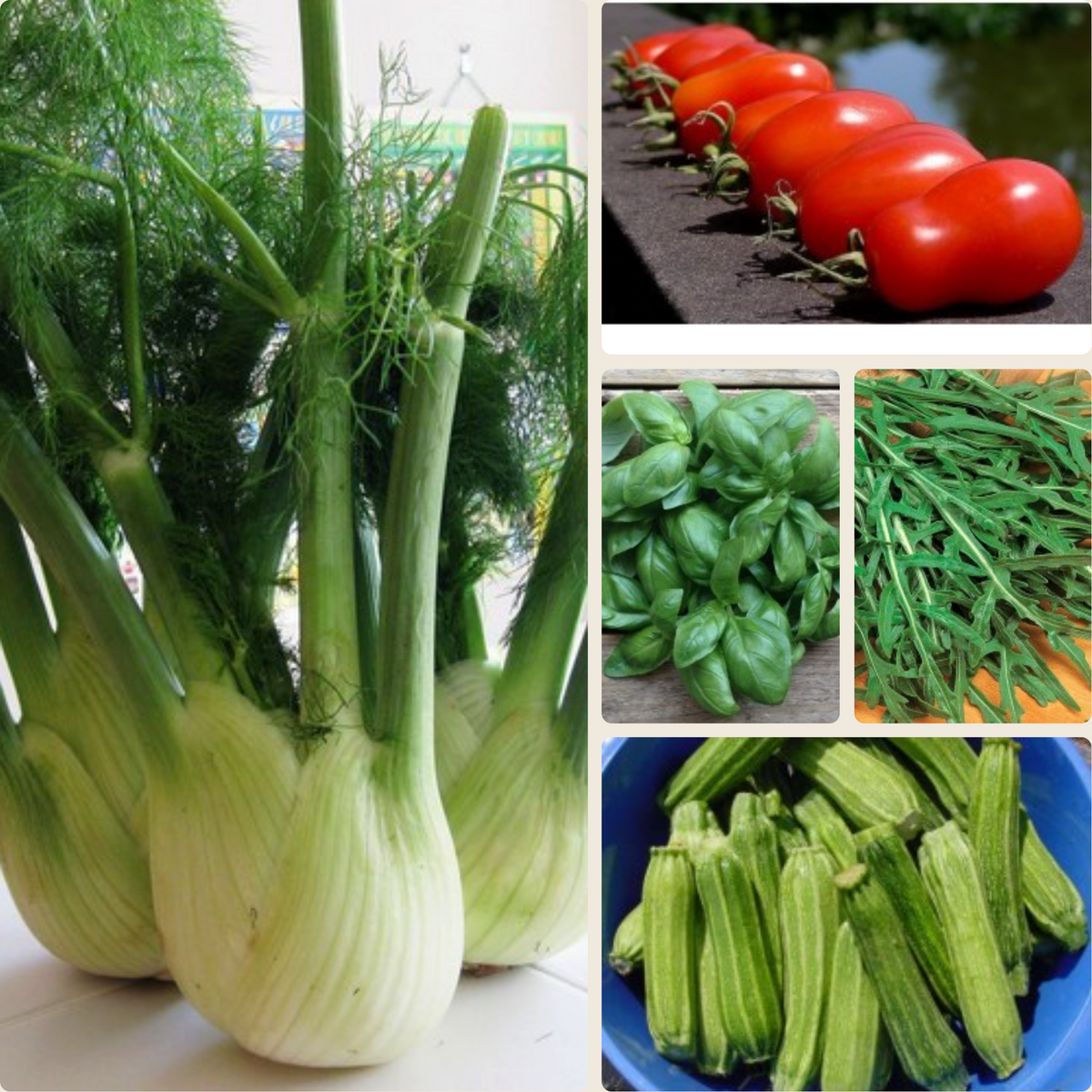 Italië - Moestuinpakket 5 zakjes