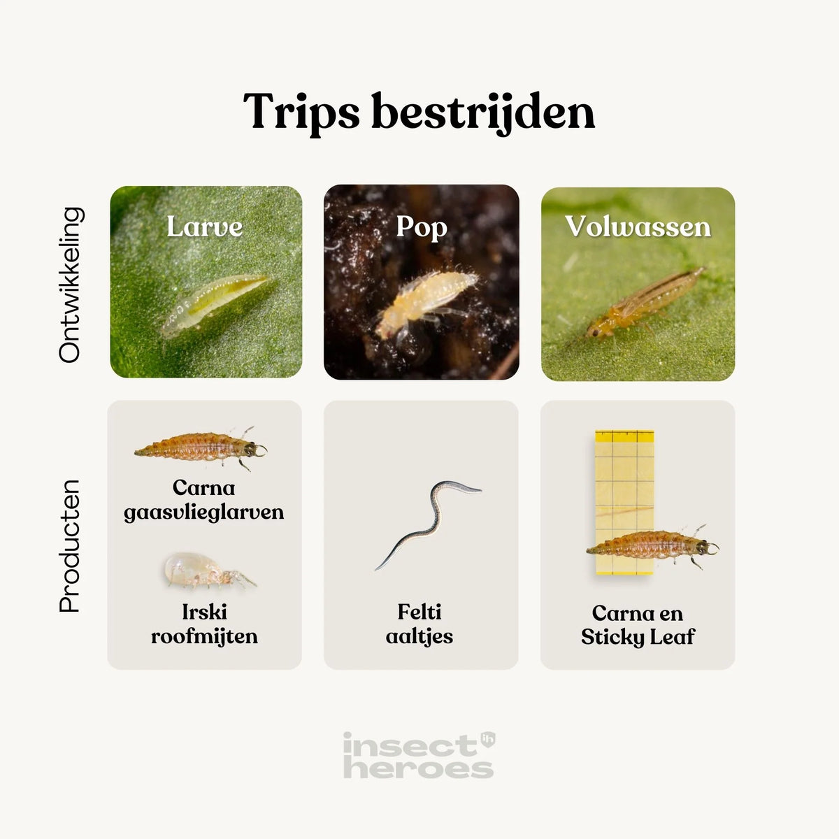 Insecten Vangplaten Sticky Leaf Flower