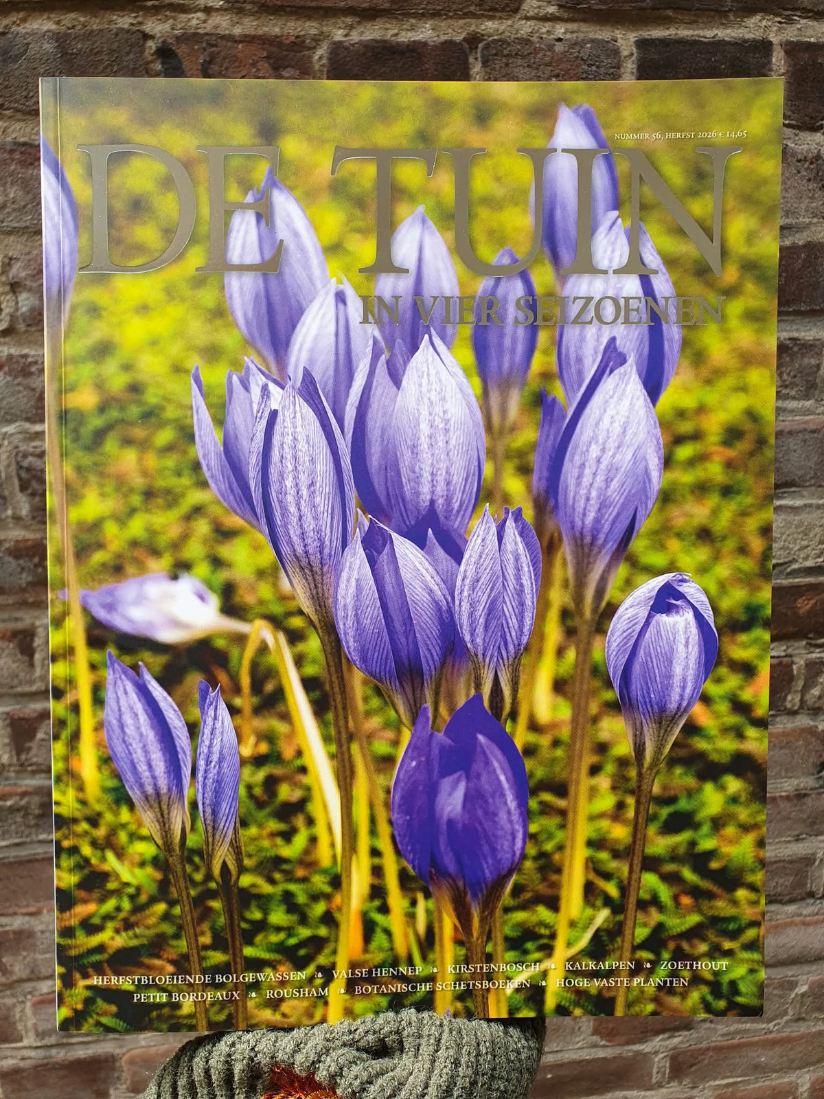 De Tuin in Vier Seizoenen