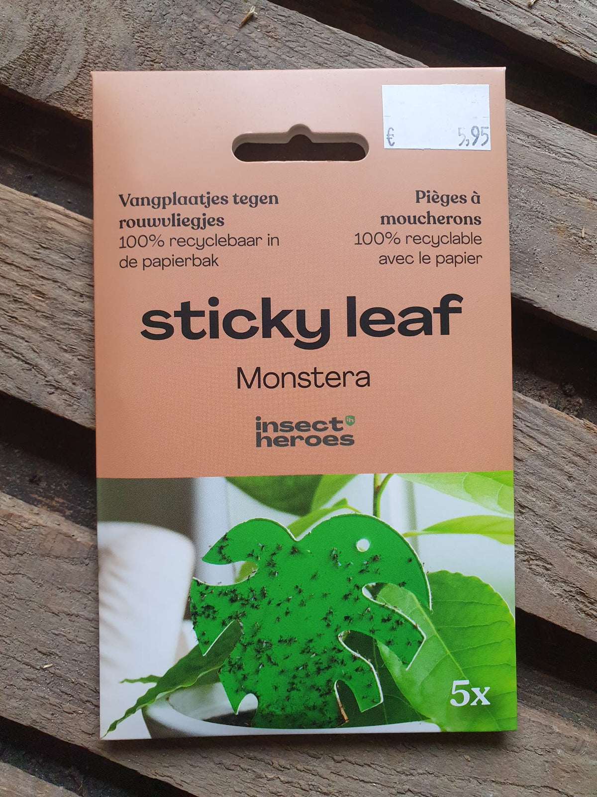 Insect Traps Sticky Leaf monstera