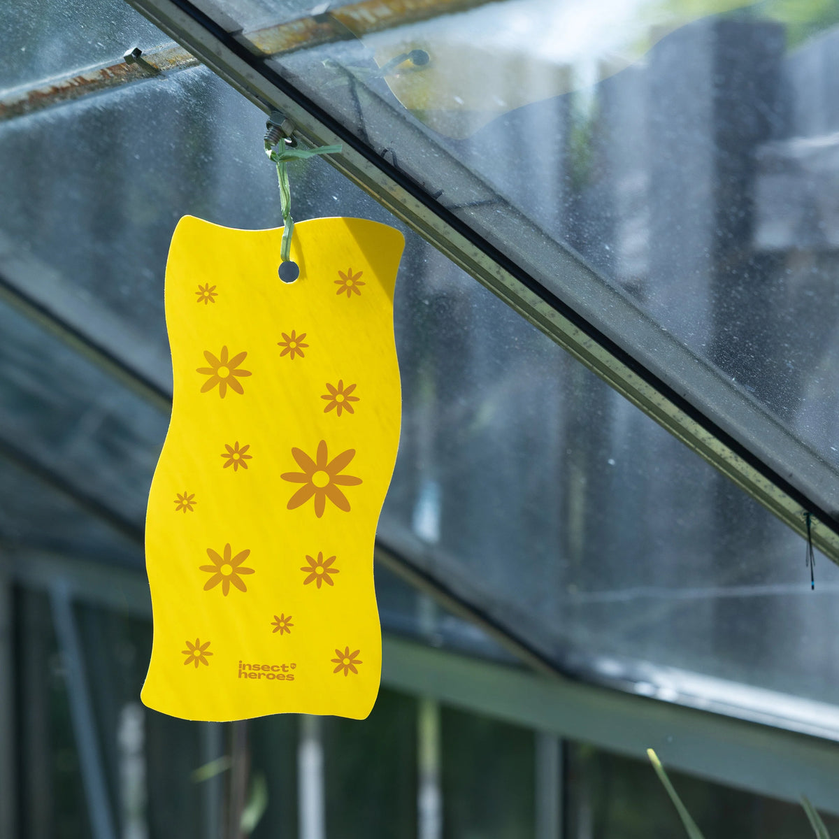 Insecten Vangplaten Sticky Leaf Flower